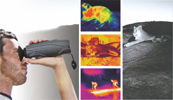 Тепловизор-монокуляр CEM Т-71 купить по низкой цене | МАКСПРОФИТ