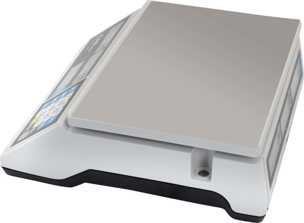 Весы CAS ER JR-15CB купить по низкой цене | МАКСПРОФИТ